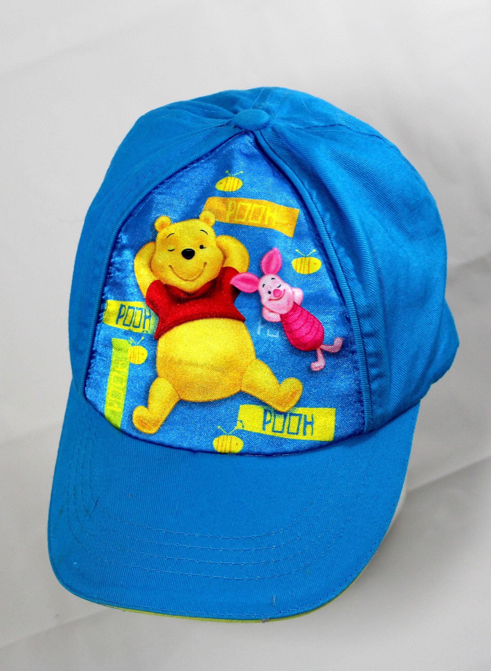 Winnie the Pooh pet